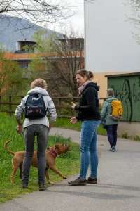 Aggression Hund Training im Einzelcoaching: Trainerin bespricht das Verhalten eines Hundes mit Maulkorb in einer kontrollierten Alltagssituation auf einem Gehweg