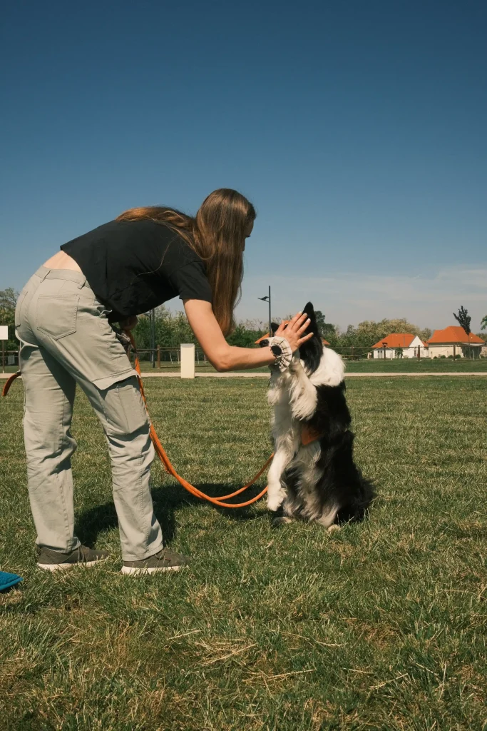 Trainerin arbeitet mit Hund auf einer Wiese im Einzeltraining – Hundeschule Angebote in Graz und Steiermark