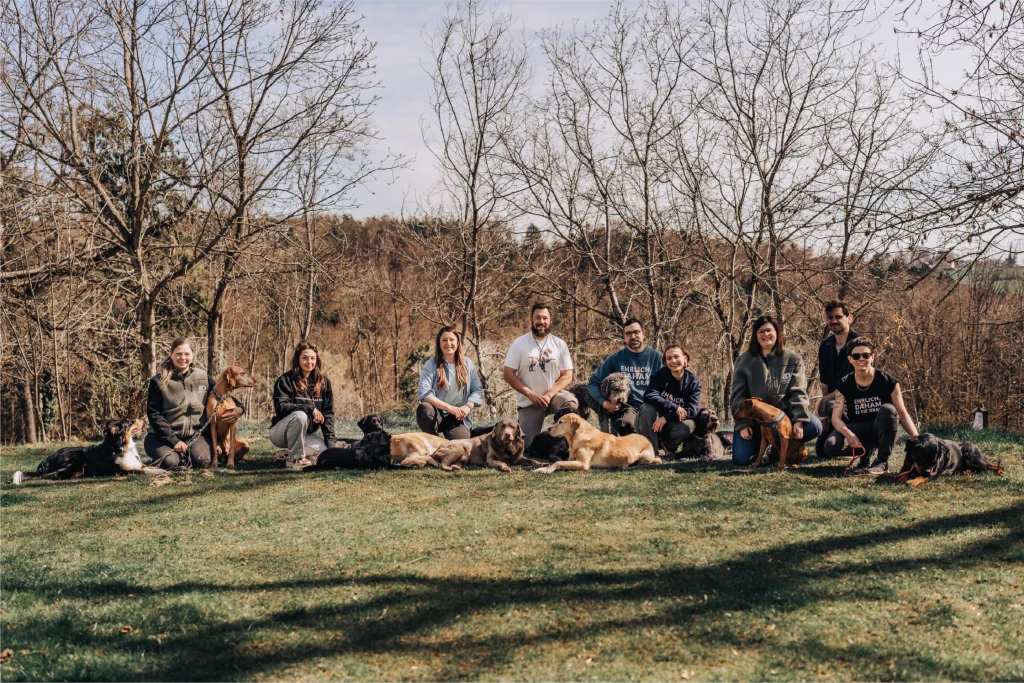 Teamfoto der Hundeschule DOGS Steiermark
