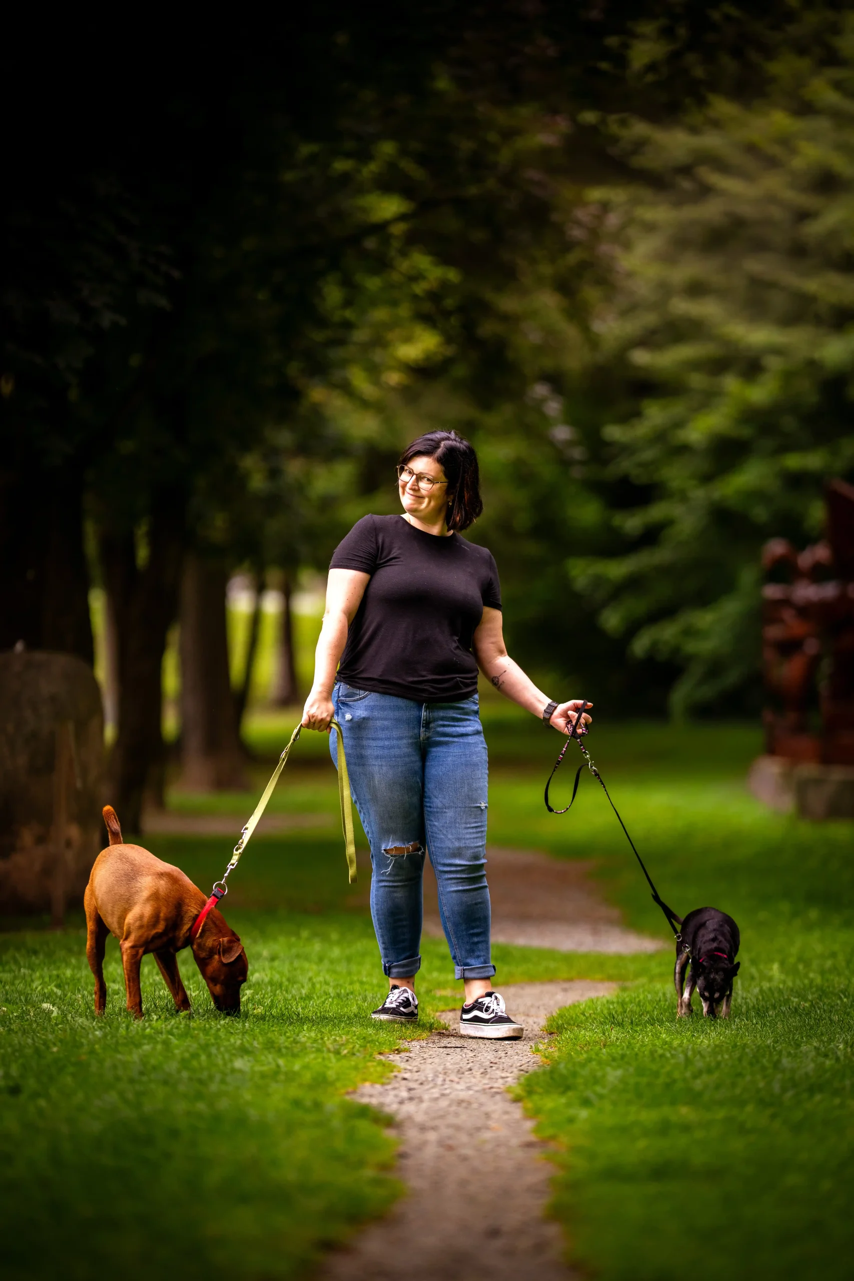 Therapiebegleithund Ausbildung mit Halterin und zwei Hunden bei einem ruhigen Spaziergang im Grünen