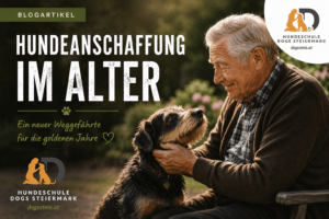 Hundeanschaffung im Alter: aelterer Mensch mit Hund, passend zum Blogartikel der Hundeschule DOGS Steiermark