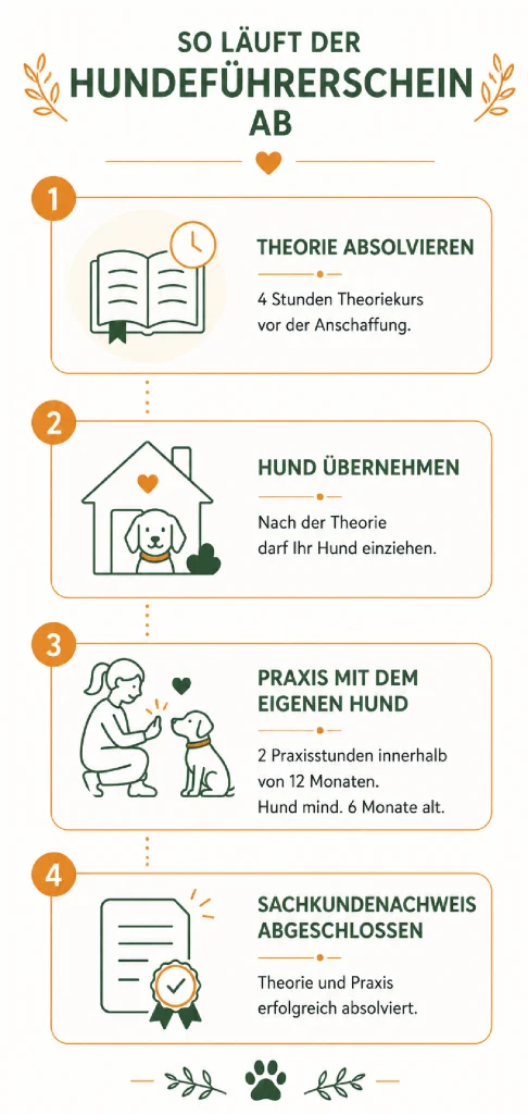 Infografik Hundeführerschein Graz Mobil