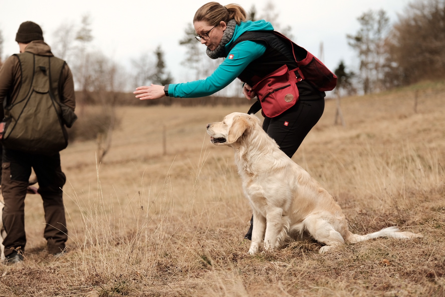 Golden Retriever wartet beim Dummy-Training mit Trainerin im Gelände