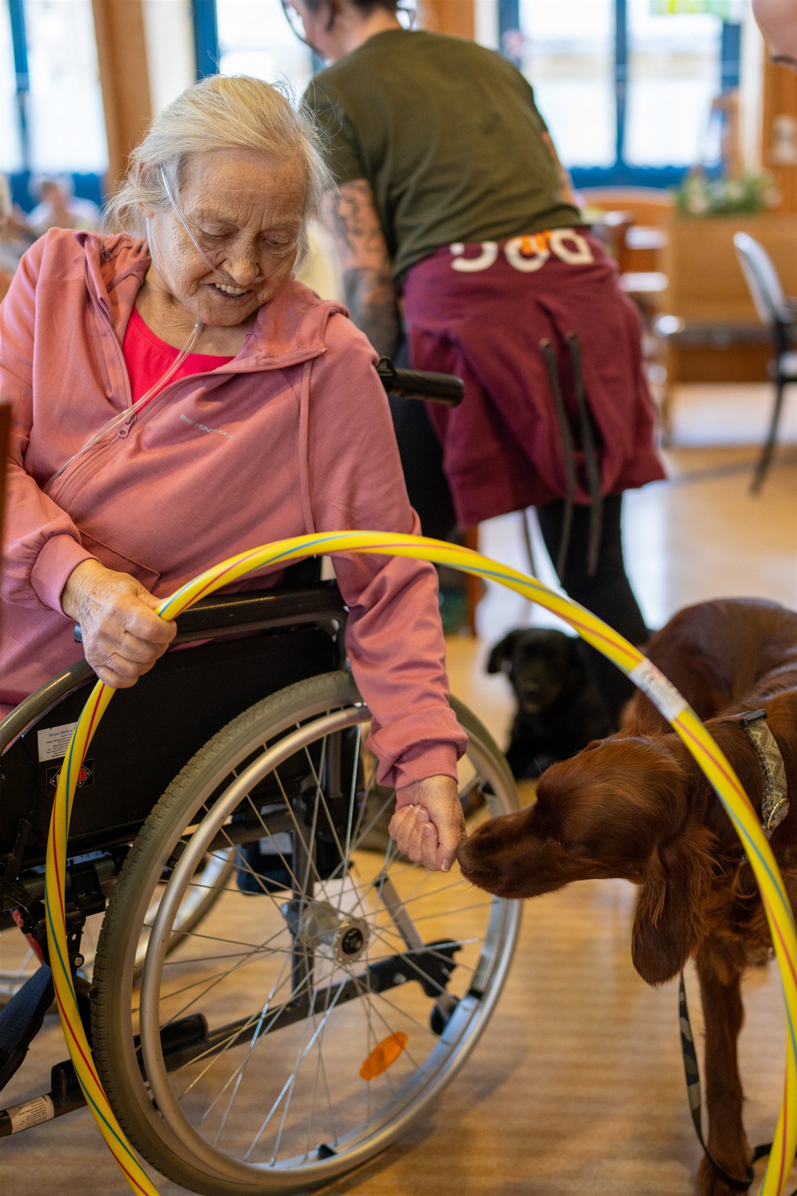 Therapiebegleithund begegnet einer älteren Frau im Rollstuhl während eines begleiteten Einsatzes
